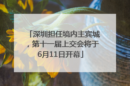 深圳担任境内主宾城，第十一届上交会将于6月11日开幕